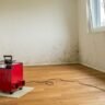 Bright UK living room with an open window and a dehumidifier, airing out a damp musty smell
